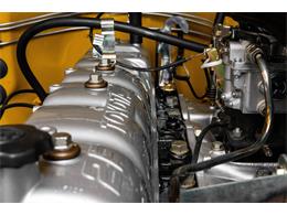 1981 Toyota Land Cruiser (CC-1722279) for sale in Georgetown, Texas