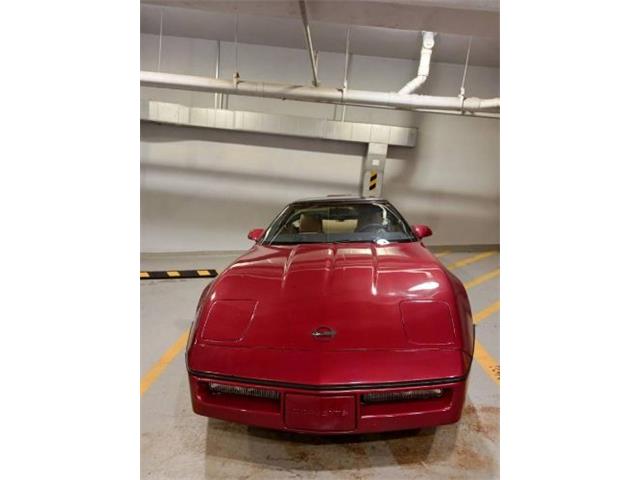 1987 Chevrolet Corvette (CC-1720228) for sale in Cadillac, Michigan