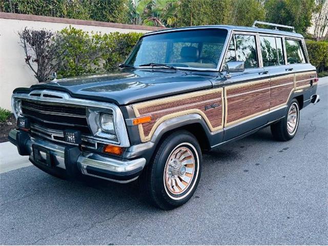 1990 Jeep Grand Wagoneer (CC-1720307) for sale in Cadillac, Michigan