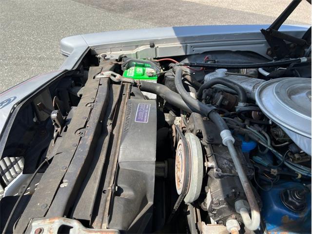 1979 Mercury Cougar (CC-1723563) for sale in Springfield, Massachusetts