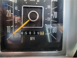 1979 Ford Bronco (CC-1723790) for sale in Cadillac, Michigan