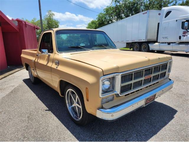 1978 GMC 1500 (CC-1724278) for sale in Cadillac, Michigan