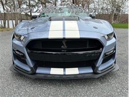 2022 Shelby GT500 (CC-1724818) for sale in North Andover, Massachusetts