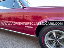 1965 Pontiac GTO (CC-1724887) for sale in Clearwater, Florida