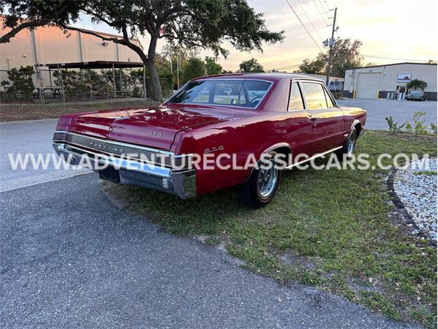 1965 Pontiac GTO (CC-1724887) for sale in Clearwater, Florida