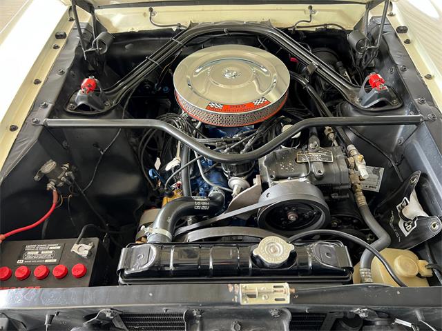 1966 Ford Mustang (CC-1720495) for sale in Paris , Kentucky
