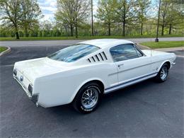1966 Ford Mustang (CC-1720495) for sale in Paris , Kentucky