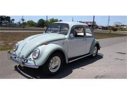 1966 Volkswagen Beetle (CC-1725215) for sale in Cadillac, Michigan