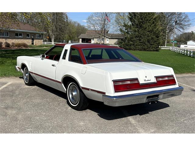 1978 Ford Thunderbird (CC-1725502) for sale in Maple Lake, Minnesota