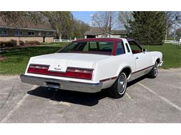 1978 Ford Thunderbird (CC-1725502) for sale in Maple Lake, Minnesota