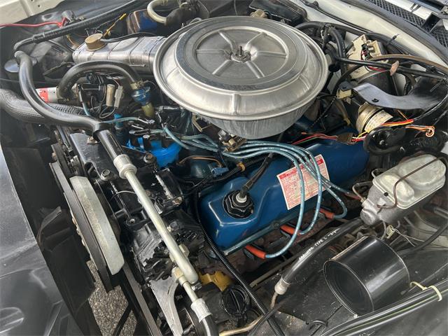 1978 Ford Thunderbird (CC-1725502) for sale in Maple Lake, Minnesota