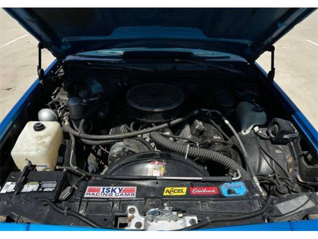 1978 Chevrolet El Camino (CC-1725611) for sale in Cadillac, Michigan