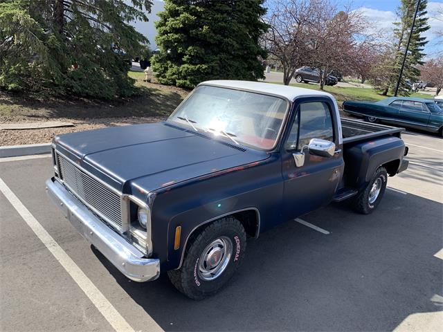 1979 GMC Sierra (CC-1720583) for sale in Edina, Minnesota