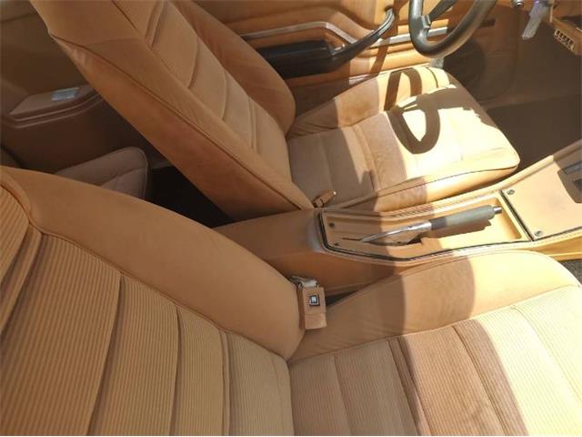 1980 Chevrolet Monza (CC-1726016) for sale in Cadillac, Michigan