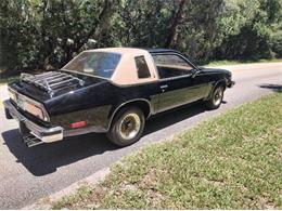 1980 Chevrolet Monza (CC-1726016) for sale in Cadillac, Michigan