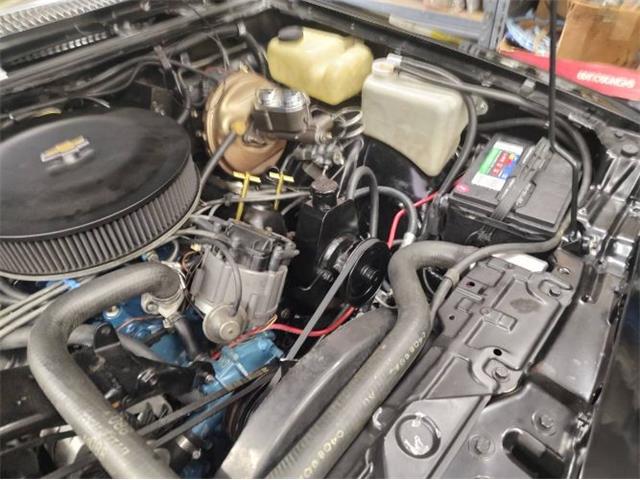 1980 Chevrolet Monza (CC-1726016) for sale in Cadillac, Michigan