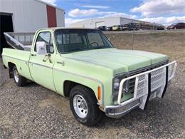 1975 Chevrolet Pickup (CC-1720618) for sale in Cadillac, Michigan