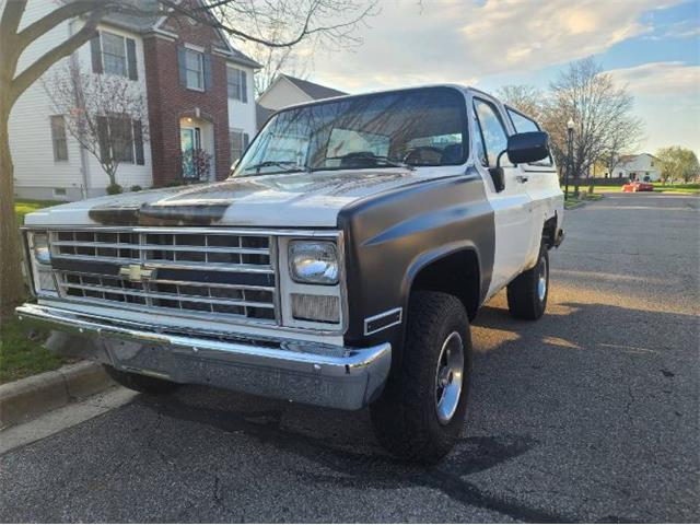 1987 Chevrolet Blazer (CC-1726493) for sale in Cadillac, Michigan