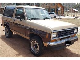 1987 Ford Bronco (CC-1726787) for sale in Cadillac, Michigan