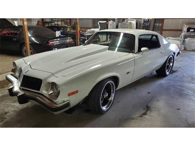 1974 Chevrolet Camaro (CC-1727694) for sale in Cadillac, Michigan