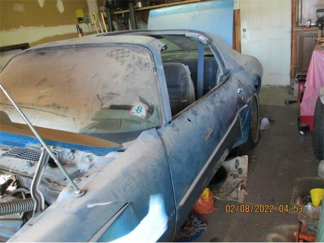 1980 Pontiac Firebird (CC-1728107) for sale in Cadillac, Michigan