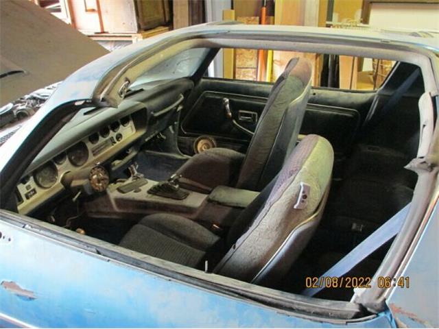 1980 Pontiac Firebird (CC-1728107) for sale in Cadillac, Michigan