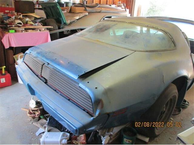 1980 Pontiac Firebird (CC-1728107) for sale in Cadillac, Michigan