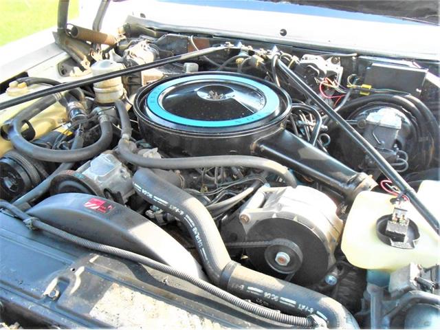 1979 Cadillac Seville (CC-1728311) for sale in Savannah, Georgia