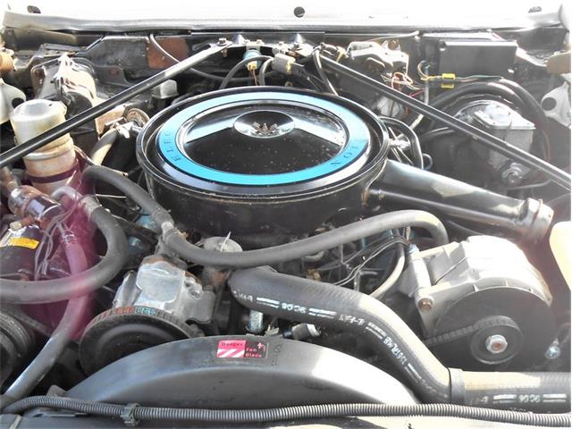 1979 Cadillac Seville (CC-1728311) for sale in Savannah, Georgia