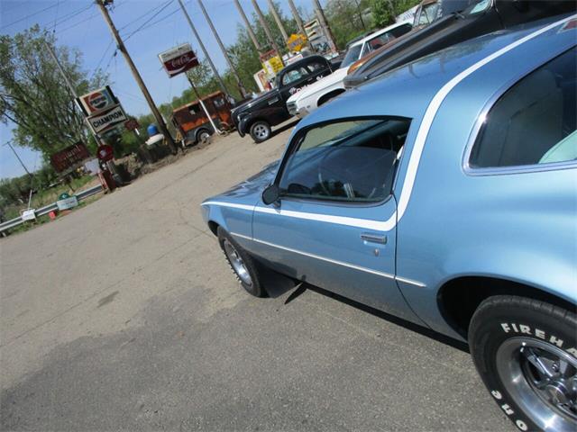 1976 Pontiac Firebird (CC-1728326) for sale in Jackson, Michigan