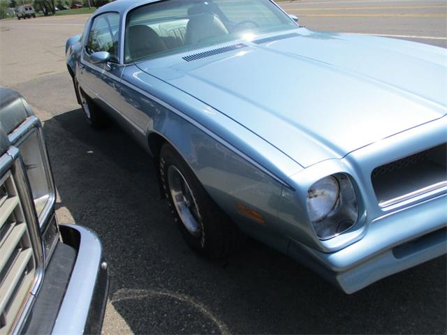 1976 Pontiac Firebird (CC-1728326) for sale in Jackson, Michigan