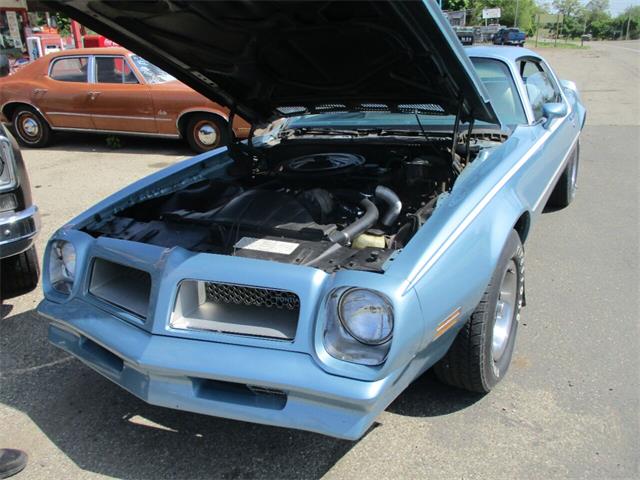 1976 Pontiac Firebird (CC-1728326) for sale in Jackson, Michigan