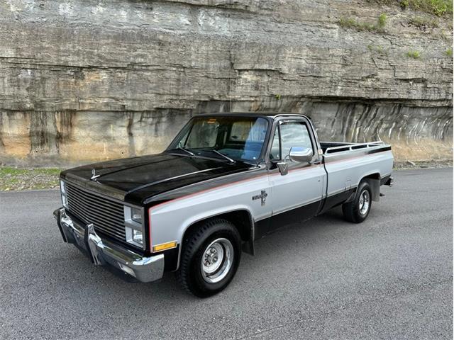 1982 Chevrolet C10 (CC-1728791) for sale in Carthage, Tennessee