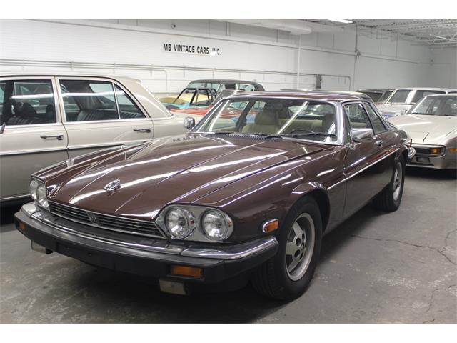 1983 Jaguar XJS (CC-1728913) for sale in Elyria, Ohio