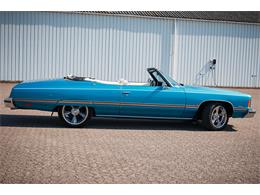 1974 Chevrolet Caprice (CC-1728916) for sale in Langeskov, Denmark