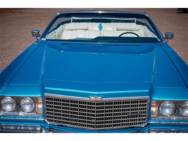 1974 Chevrolet Caprice (CC-1728916) for sale in Langeskov, Denmark