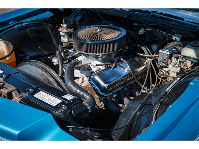 1974 Chevrolet Caprice (CC-1728916) for sale in Langeskov, Denmark