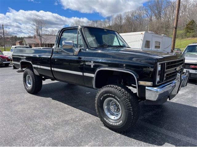 1985 Chevrolet 1500 (CC-1728982) for sale in Cadillac, Michigan