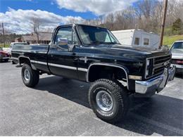 1985 Chevrolet 1500 (CC-1728982) for sale in Cadillac, Michigan