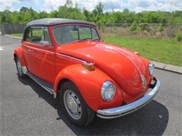 1971 Volkswagen Beetle (CC-1729129) for sale in Savannah, Georgia