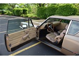 1984 Studebaker Avanti (CC-1729435) for sale in Elkhart, Indiana