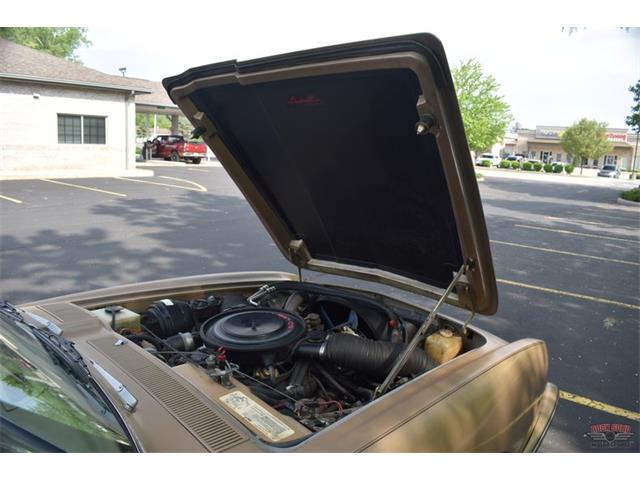 1984 Studebaker Avanti (CC-1729435) for sale in Elkhart, Indiana