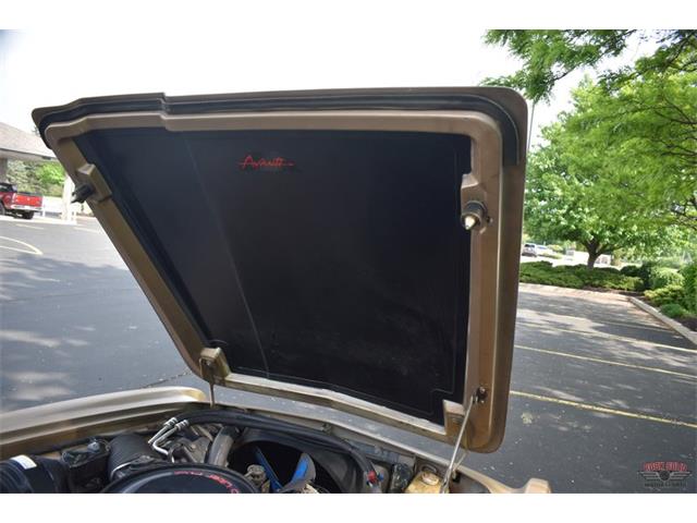 1984 Studebaker Avanti (CC-1729435) for sale in Elkhart, Indiana