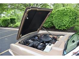 1984 Studebaker Avanti (CC-1729435) for sale in Elkhart, Indiana
