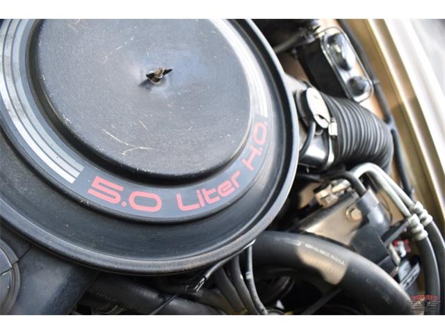 1984 Studebaker Avanti (CC-1729435) for sale in Elkhart, Indiana