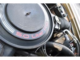 1984 Studebaker Avanti (CC-1729435) for sale in Elkhart, Indiana