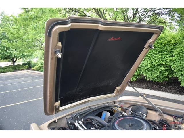 1984 Studebaker Avanti (CC-1729435) for sale in Elkhart, Indiana