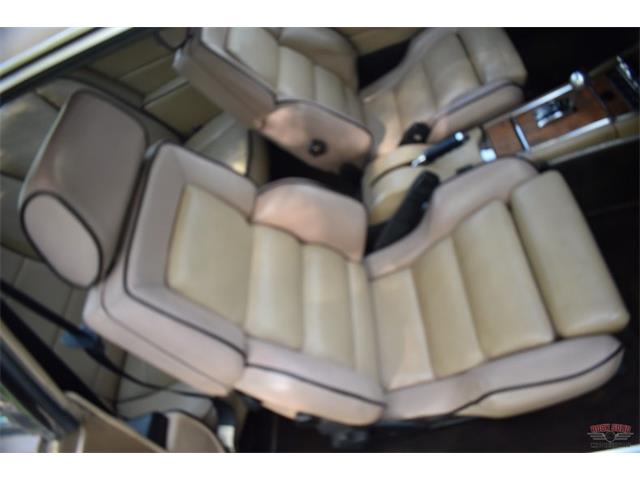 1984 Studebaker Avanti (CC-1729435) for sale in Elkhart, Indiana
