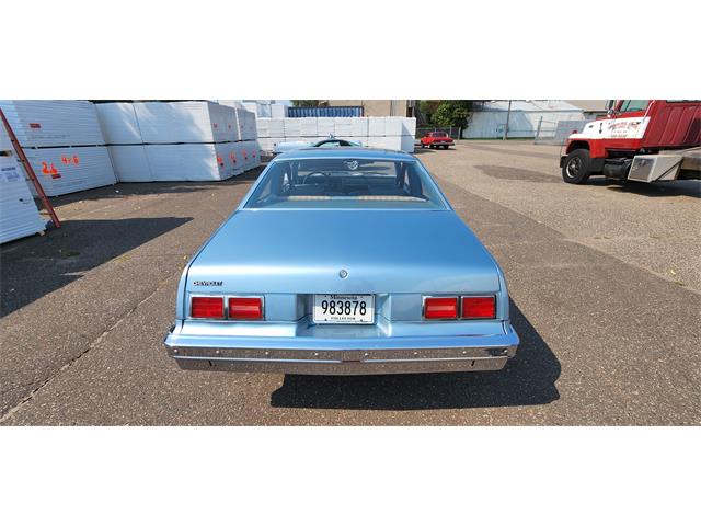 1978 Chevrolet Nova (CC-1729773) for sale in BELLE PLAINE, Minnesota