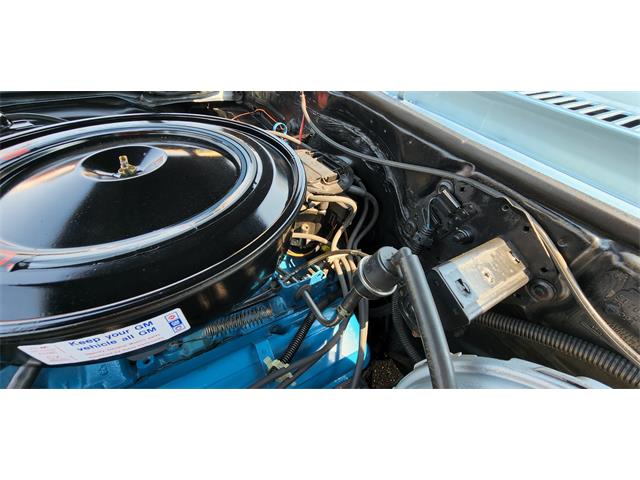 1978 Chevrolet Nova (CC-1729773) for sale in BELLE PLAINE, Minnesota